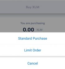 anchor usd limit orders